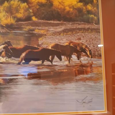FRAMED HORSE PICTURE SIGNED BY TIM COX