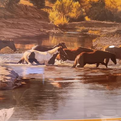 FRAMED HORSE PICTURE SIGNED BY TIM COX