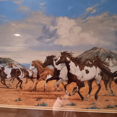 HORSE PICTURE BY BOB PETERS