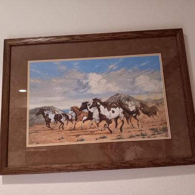 HORSE PICTURE BY BOB PETERS