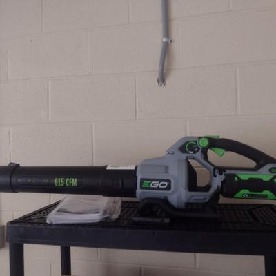 E-Go Electric 56 Volt Leaf Blower with Battery and Charger