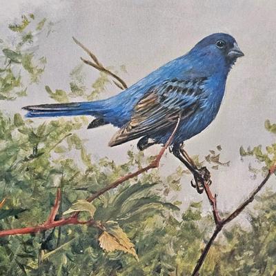 Bluebird Print by O.J. Gromme - Signed/Numbered (PB-JS)