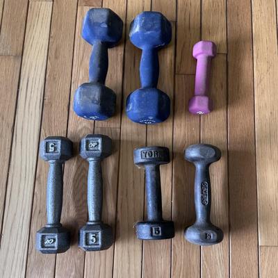 Body Lift Inversion Chair, Weights, and Yoga Accessories (LR-DZ)