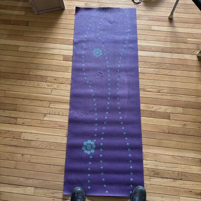Body Lift Inversion Chair, Weights, and Yoga Accessories (LR-DZ)