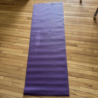 Body Lift Inversion Chair, Weights, and Yoga Accessories (LR-DZ)