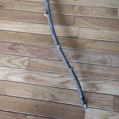 Two Handcrafted Snake Sticks (LR-DZ)