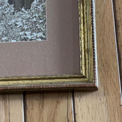 Three Vintage Photographs in Gold-Painted Wooden Frames (PB-DZ)