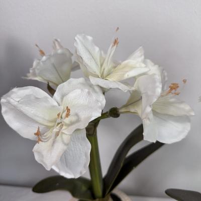 Three Faux Amaryllis Plants (B1-DZ)