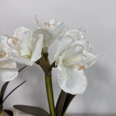 Three Faux Amaryllis Plants (B1-DZ)