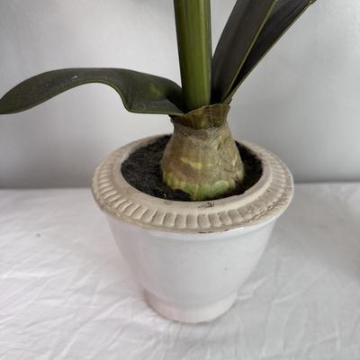 Three Faux Amaryllis Plants (B1-DZ)