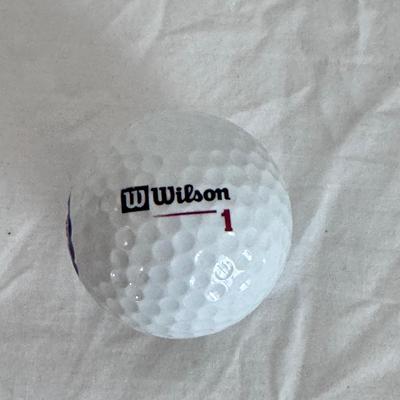 For The Chicago Cubs Fans (B1-DZ)