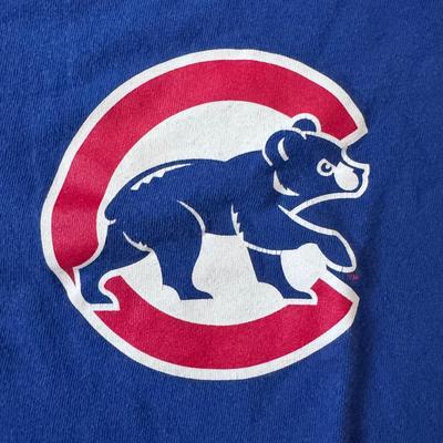For The Chicago Cubs Fans (B1-DZ)