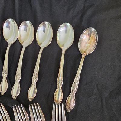 45 Piece WM Rogers 'Victorian Rose' Silverplate Flatware w/Case (DR-JS)