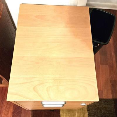 Modern Rolling File Cabinet