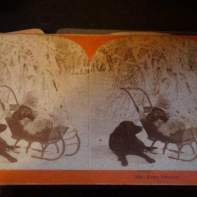 EARLY 1900'S BIRDS EYE MAPLE STEREO OPTIC VIEWER W/CARDS ( 40 )