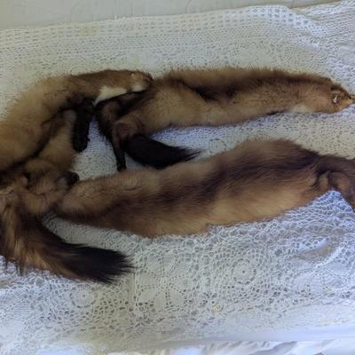 Vintage 3 Full Body Mink Fur Pelts Stole Cape Shawl Wrap (BR1)