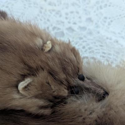 Vintage 3 Full Body Mink Fur Pelts Stole Cape Shawl Wrap (BR1)