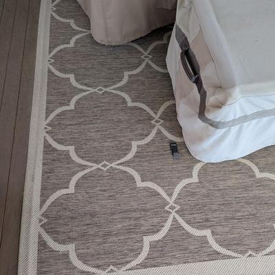 Very Nice Indoor/Outdoor Rug