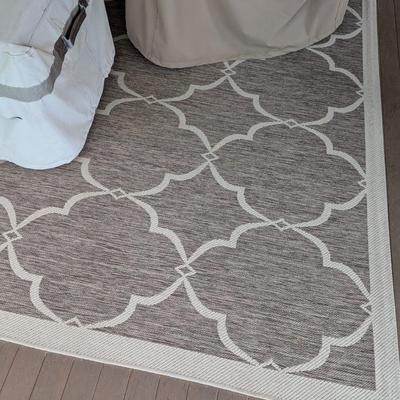 Very Nice Indoor/Outdoor Rug