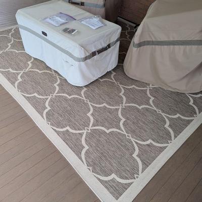 Very Nice Indoor/Outdoor Rug