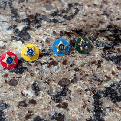 Boy Scout BSA Pins