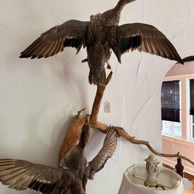 Lot 5: Home Decor, Ducks & More