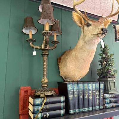 Lot 13: Hank the Deer, Decor Book & More