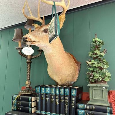 Lot 13: Hank the Deer, Decor Book & More