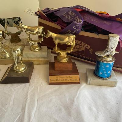 G1059 Large lot of Holstein-Friesian, 4H Delaware State Fair Trophies and Ribbons 1950’s and on