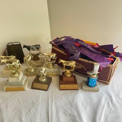 G1059 Large lot of Holstein-Friesian, 4H Delaware State Fair Trophies and Ribbons 1950’s and on
