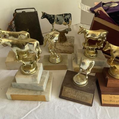 G1059 Large lot of Holstein-Friesian, 4H Delaware State Fair Trophies and Ribbons 1950’s and on