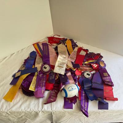 G1059 Large lot of Holstein-Friesian, 4H Delaware State Fair Trophies and Ribbons 1950’s and on