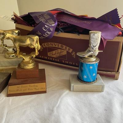 G1059 Large lot of Holstein-Friesian, 4H Delaware State Fair Trophies and Ribbons 1950’s and on