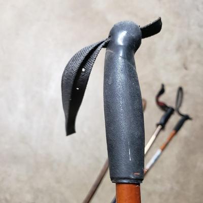 Camping and Hiking-Trek, Naturehike, Quest and More (DR-BM)