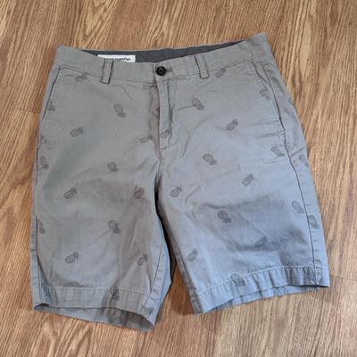 Men’s Shorts from Amazon Essentials, Lands’ End, and Towncraft - Men’s Sizes 31-32 (PB-DZ)