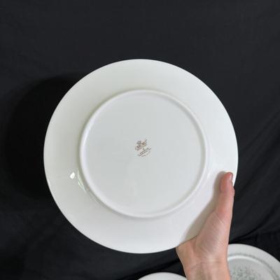 Oxford Bone China in Meadowlark (DR-DZ)