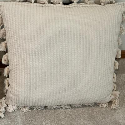 Lot 13 Large throw pillows