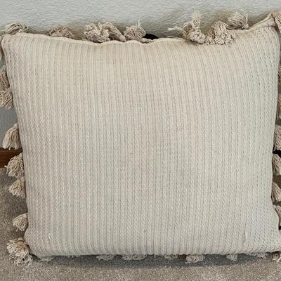Lot 13 Large throw pillows