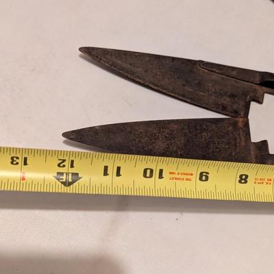 Vintage Sheep Shears (B)
