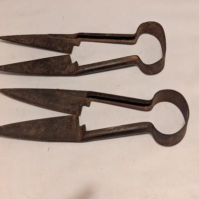Vintage Sheep Shears (B)