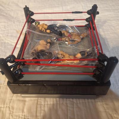 Toy wrestling ring and wrestlers