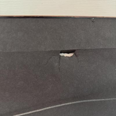 Signed and Numbered “Dreams do Come True” by Marti Somers and More (B2-DZ)