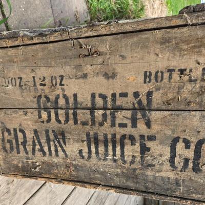 Vintage Golden Grain Juice Case