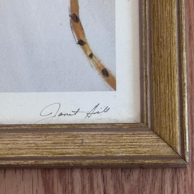 “Catty Cathy” Print Signed by Janet Hill (B2-DZ)