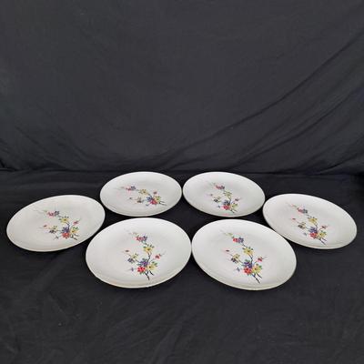 Seltmann Weiden Bavarian China (B2-DZ)