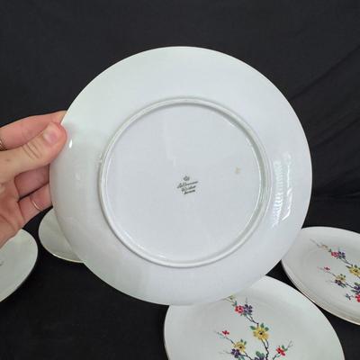 Seltmann Weiden Bavarian China (B2-DZ)