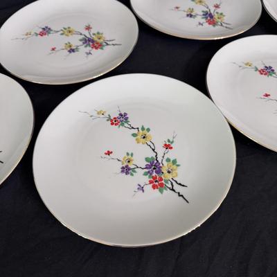 Seltmann Weiden Bavarian China (B2-DZ)