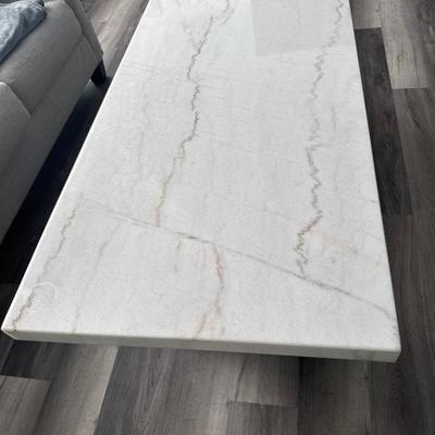 Burkhaus Marble Top Coffee Table