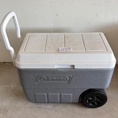 Coleman Cooler