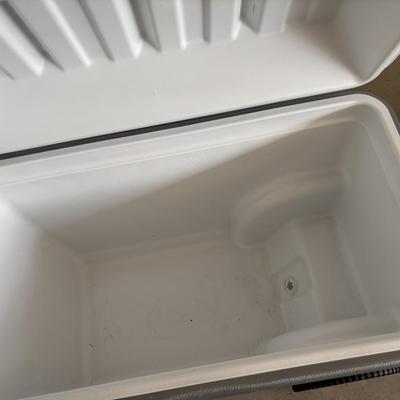 Coleman Cooler